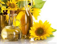 葵花籽油走俏市場，食用油灌裝機(jī)擔(dān)任新使者